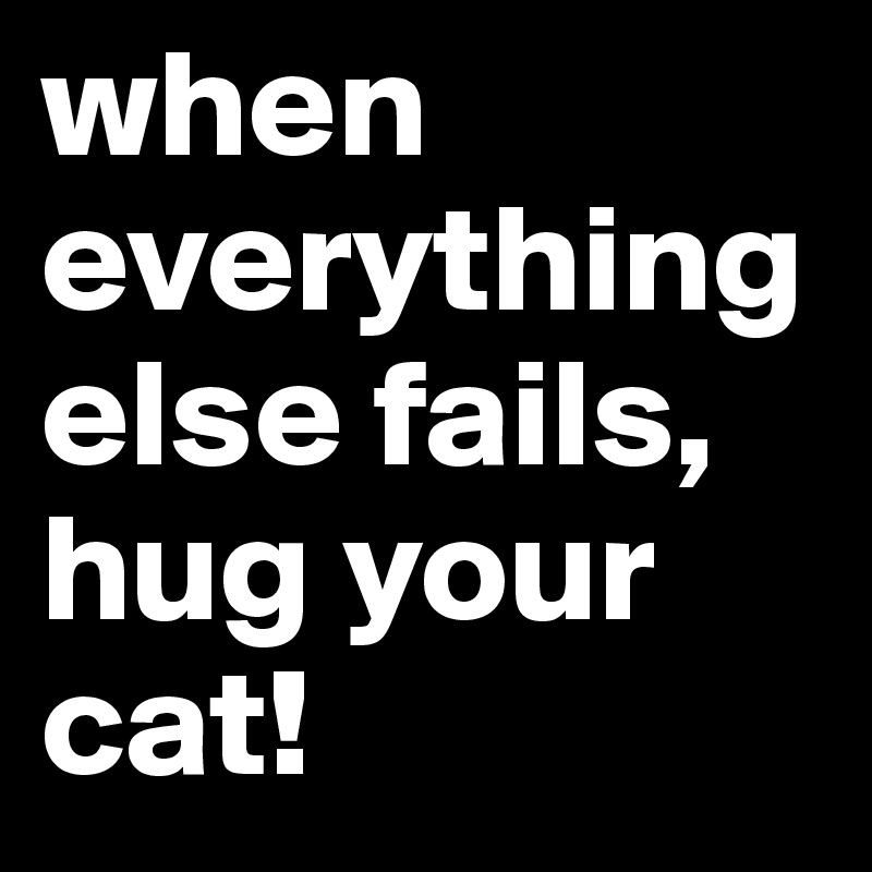 when everything else fails, hug your cat!