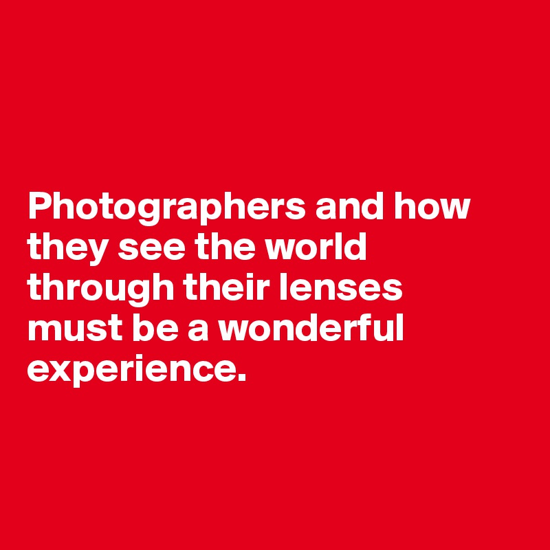 



Photographers and how they see the world through their lenses 
must be a wonderful experience.



