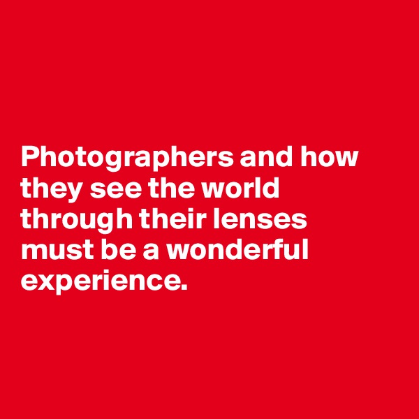 



Photographers and how they see the world through their lenses 
must be a wonderful experience.


