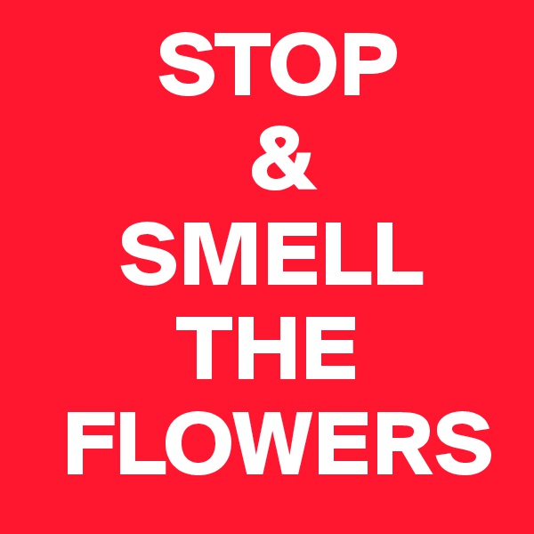        STOP
            &
     SMELL
        THE
  FLOWERS