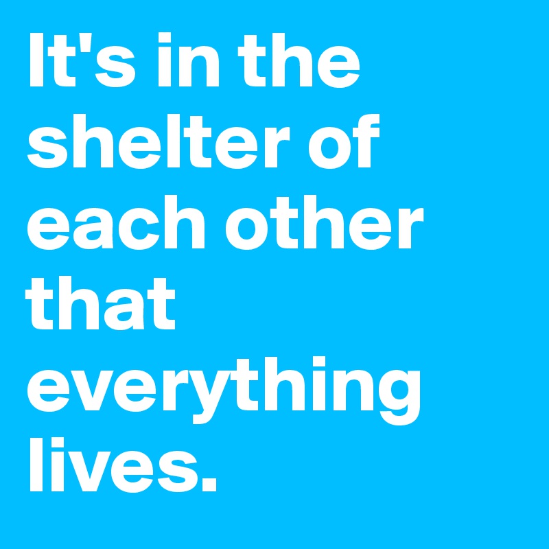 It's in the shelter of each other that everything lives.