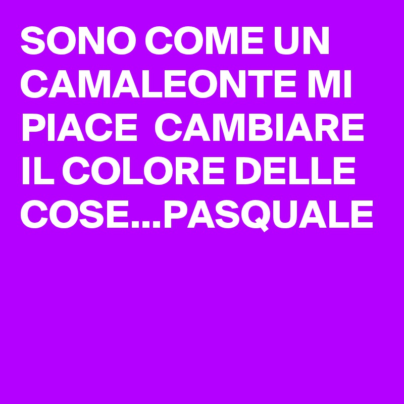 SONO COME UN CAMALEONTE MI PIACE  CAMBIARE IL COLORE DELLE COSE...PASQUALE
