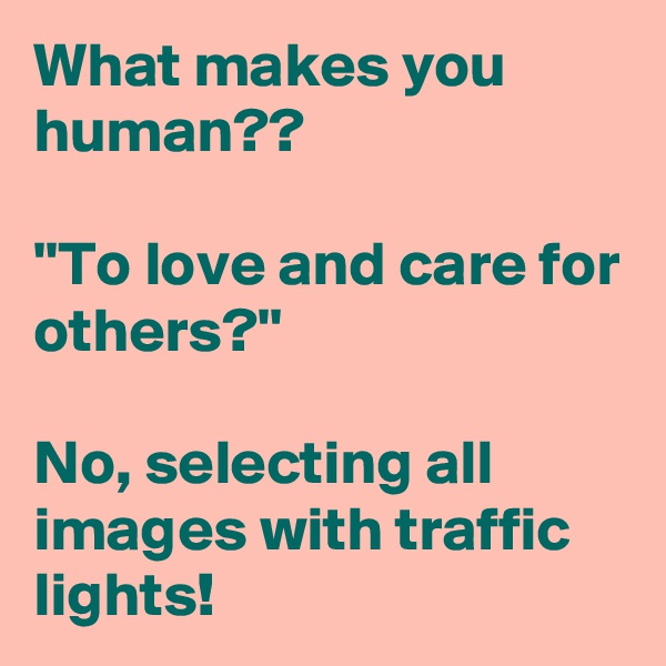 What makes you human??

''To love and care for others?''

No, selecting all images with traffic lights!