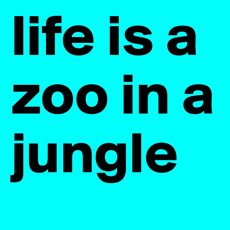 life is a zoo in a jungle