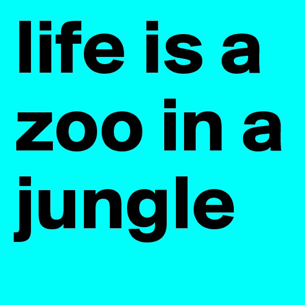 life is a zoo in a jungle