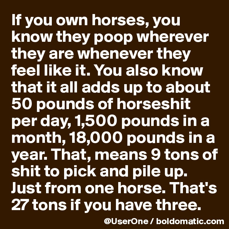 If you own horses, you know they poop wherever they are whenever they feel like it. You also know that it all adds up to about 50 pounds of horseshit per day, 1,500 pounds in a month, 18,000 pounds in a year. That, means 9 tons of shit to pick and pile up.
Just from one horse. That's 27 tons if you have three.