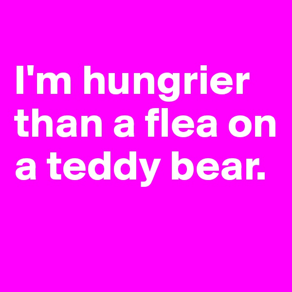 
I'm hungrier than a flea on a teddy bear.

