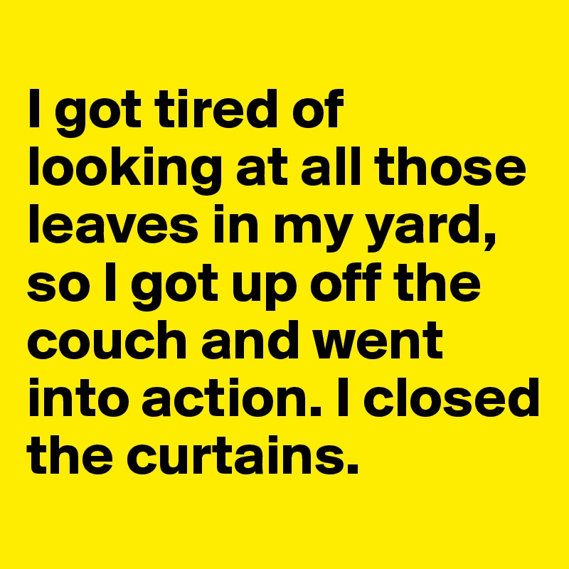 
I got tired of looking at all those leaves in my yard, so I got up off the couch and went into action. I closed the curtains.