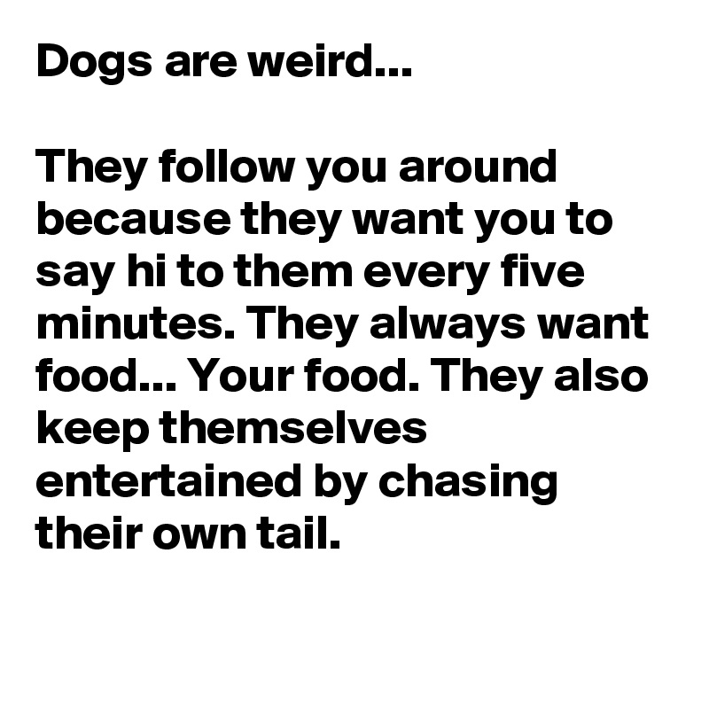 Dogs are weird...

They follow you around because they want you to say hi to them every five minutes. They always want food... Your food. They also keep themselves entertained by chasing their own tail.

