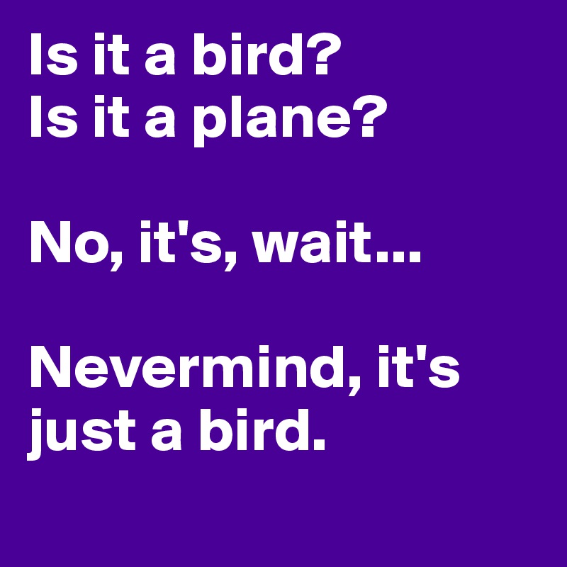 Is it a bird?
Is it a plane?

No, it's, wait...

Nevermind, it's just a bird.
