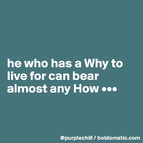 



he who has a Why to live for can bear almost any How •••


