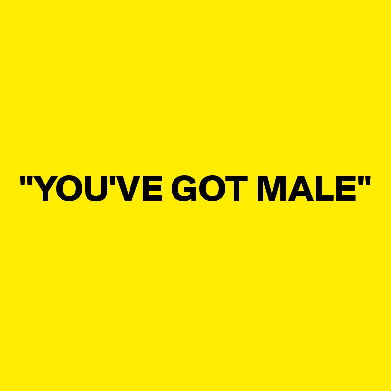 



"YOU'VE GOT MALE"



