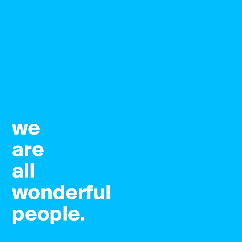 




we
are
all
wonderful
people.