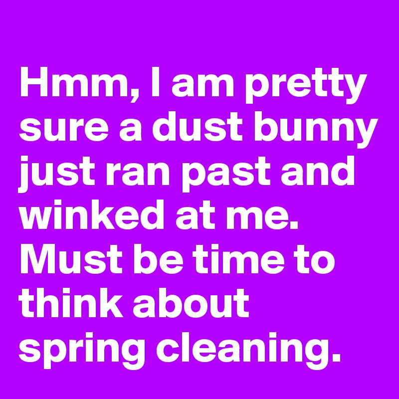
Hmm, I am pretty sure a dust bunny just ran past and winked at me. Must be time to think about spring cleaning.