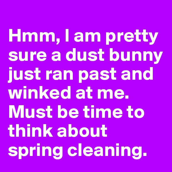 
Hmm, I am pretty sure a dust bunny just ran past and winked at me. Must be time to think about spring cleaning.