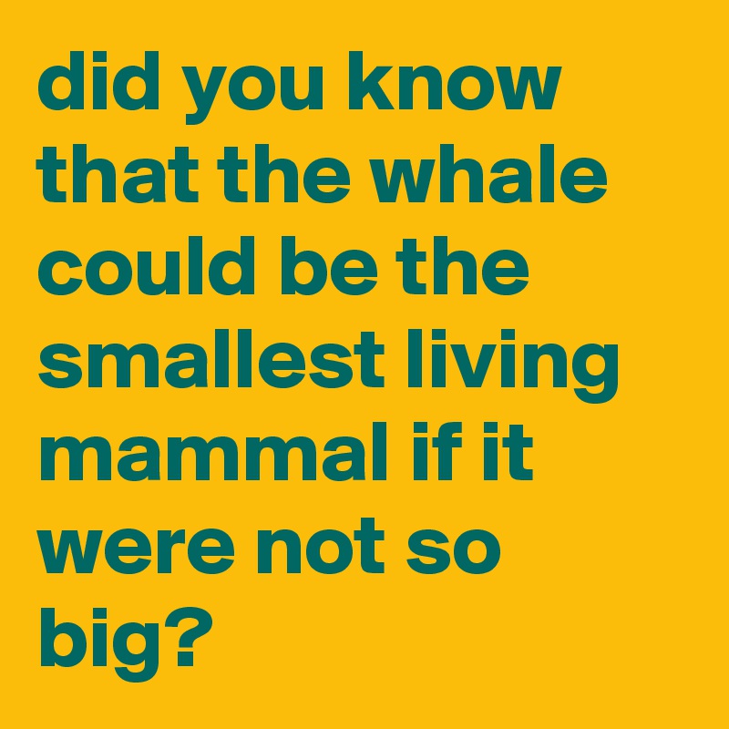 did you know that the whale could be the smallest living mammal if it were not so big?