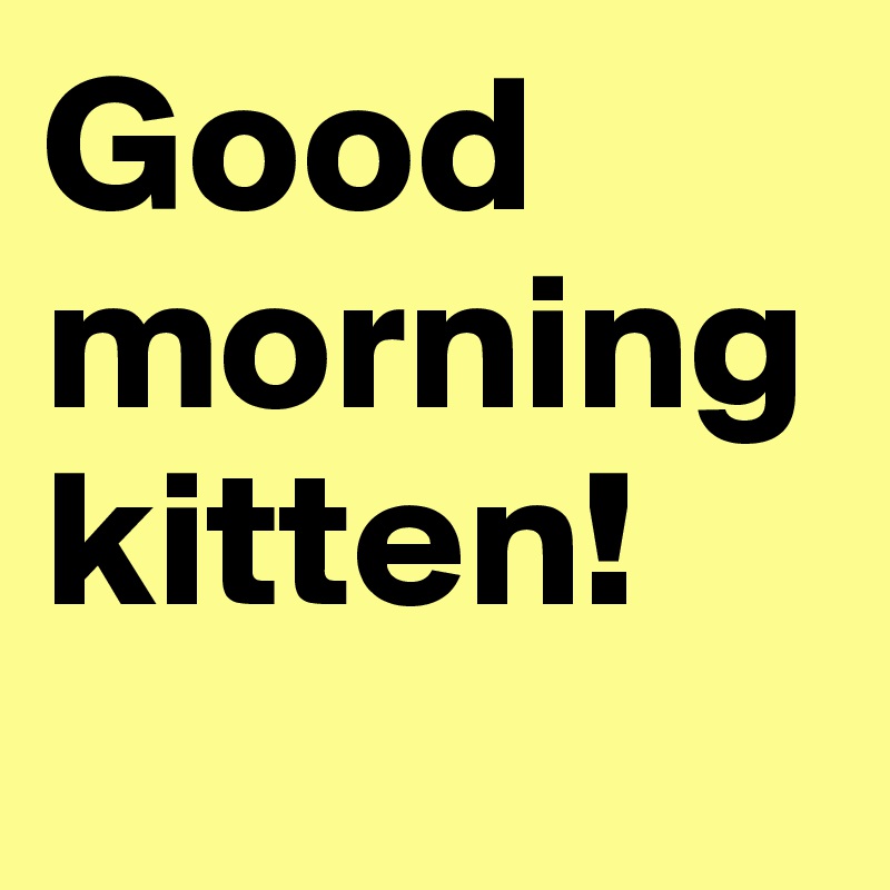 Good morning kitten!
