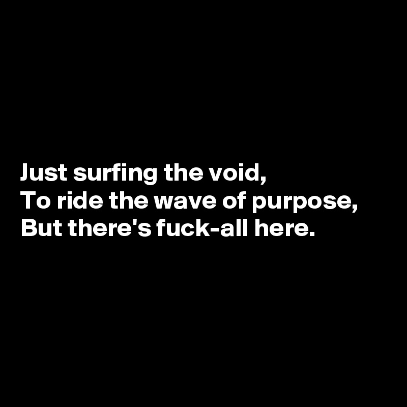 




Just surfing the void,
To ride the wave of purpose,
But there's fuck-all here.




