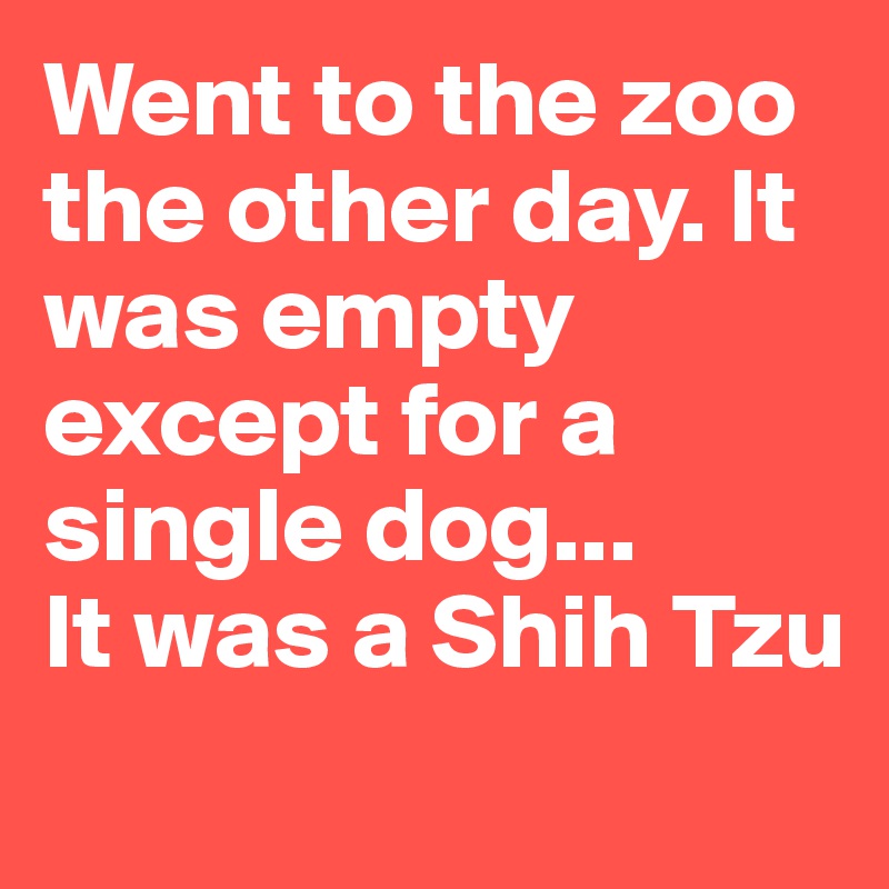 Went to the zoo the other day. It was empty except for a single dog...
It was a Shih Tzu
