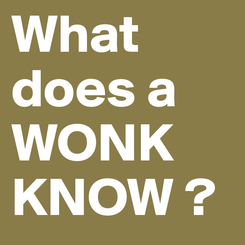 What
does a
WONK
KNOW ?