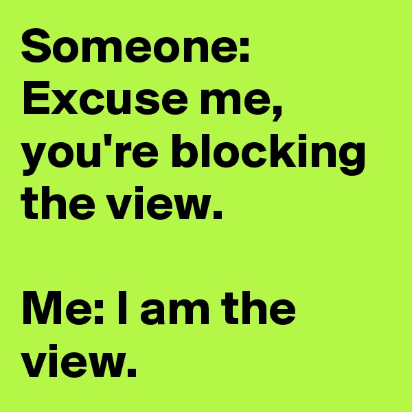 Someone: Excuse me, you're blocking the view.

Me: I am the view.