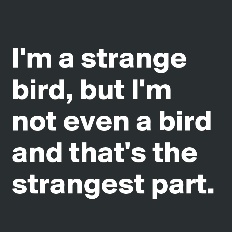 
I'm a strange bird, but I'm not even a bird and that's the strangest part.
