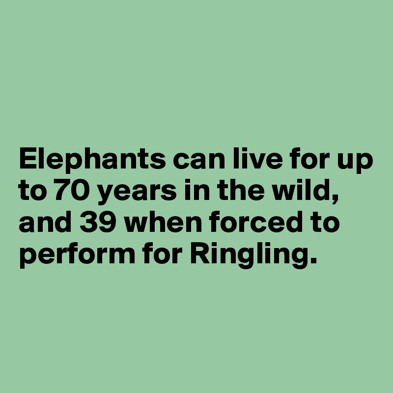 



Elephants can live for up to 70 years in the wild, and 39 when forced to perform for Ringling.

