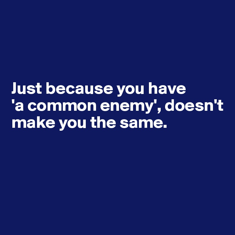 



Just because you have
'a common enemy', doesn't make you the same. 





