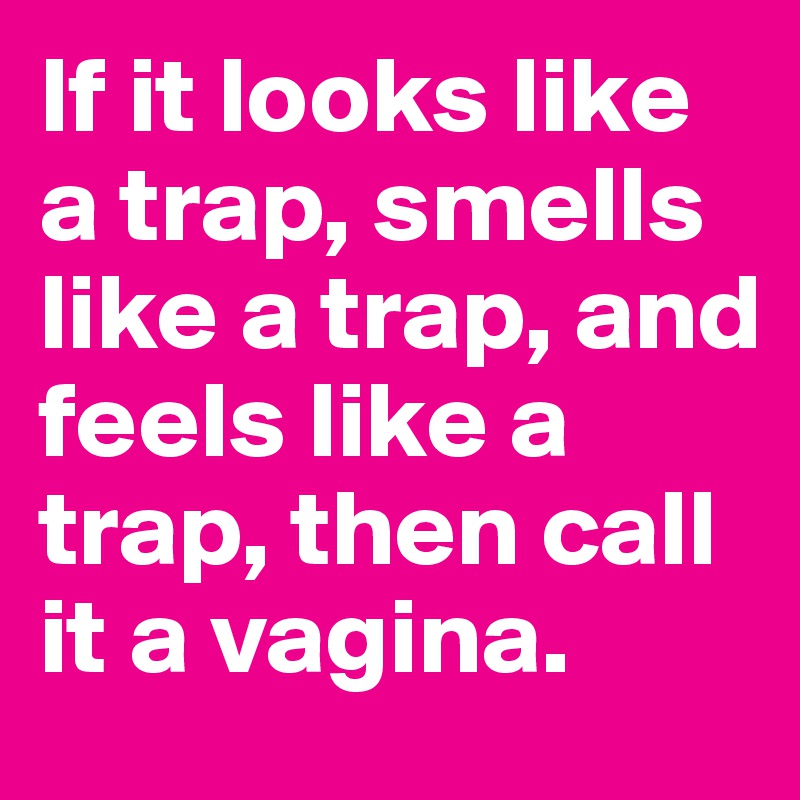 If it looks like a trap, smells like a trap, and feels like a trap, then call it a vagina.