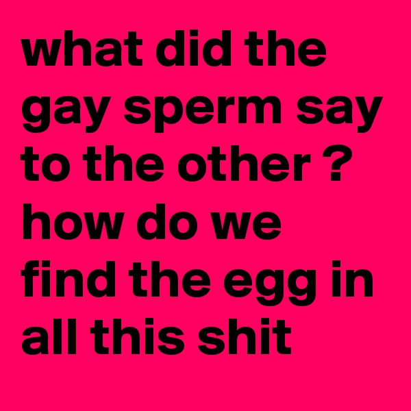 what did the gay sperm say to the other ? how do we find the egg in all this shit