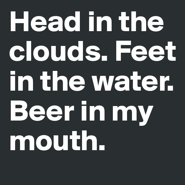 Head in the clouds. Feet in the water. Beer in my mouth.