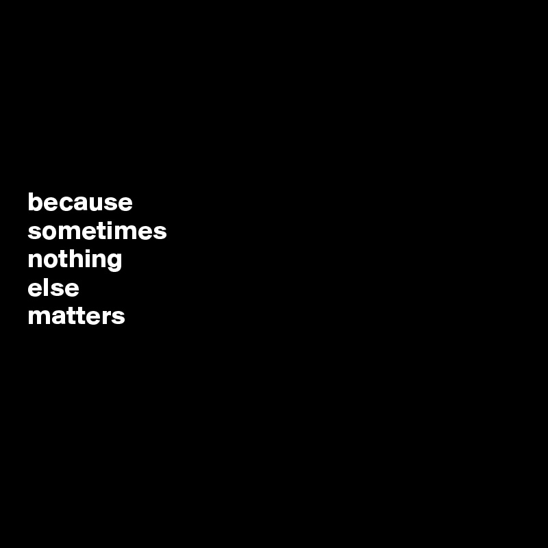 




because 
sometimes 
nothing 
else 
matters






