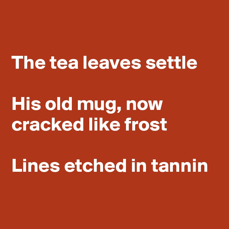 

The tea leaves settle

His old mug, now cracked like frost

Lines etched in tannin

