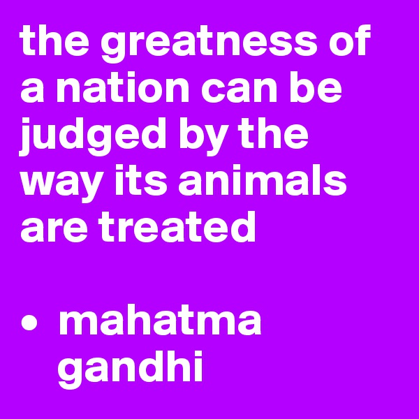 the greatness of a nation can be judged by the way its animals are treated

•  mahatma   
    gandhi