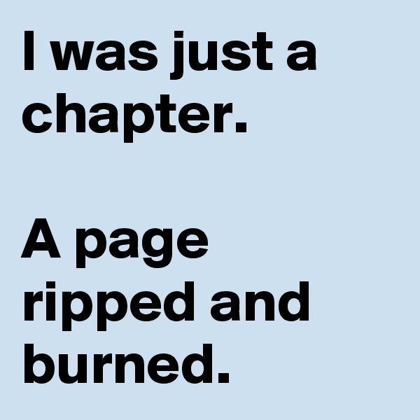 I was just a chapter.

A page ripped and burned.
