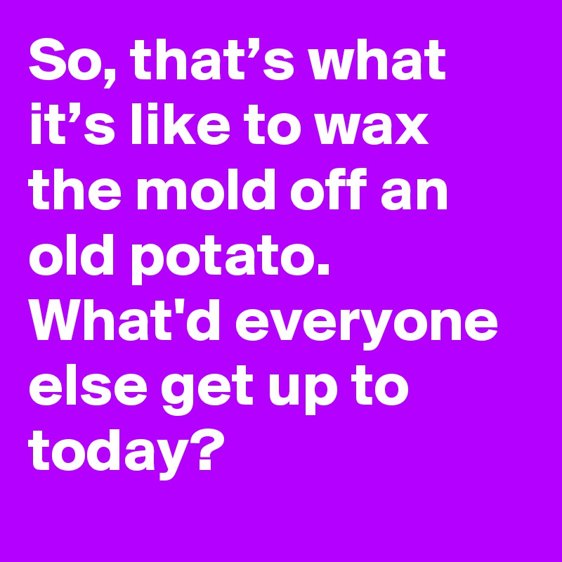 So, that’s what it’s like to wax the mold off an old potato. What'd everyone else get up to today?