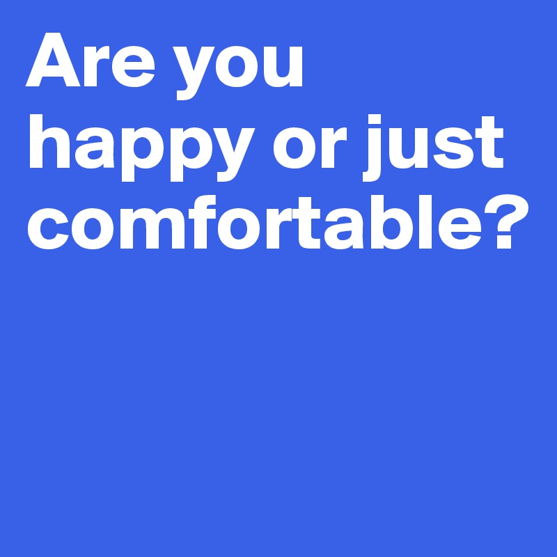 Are you happy or just comfortable?


