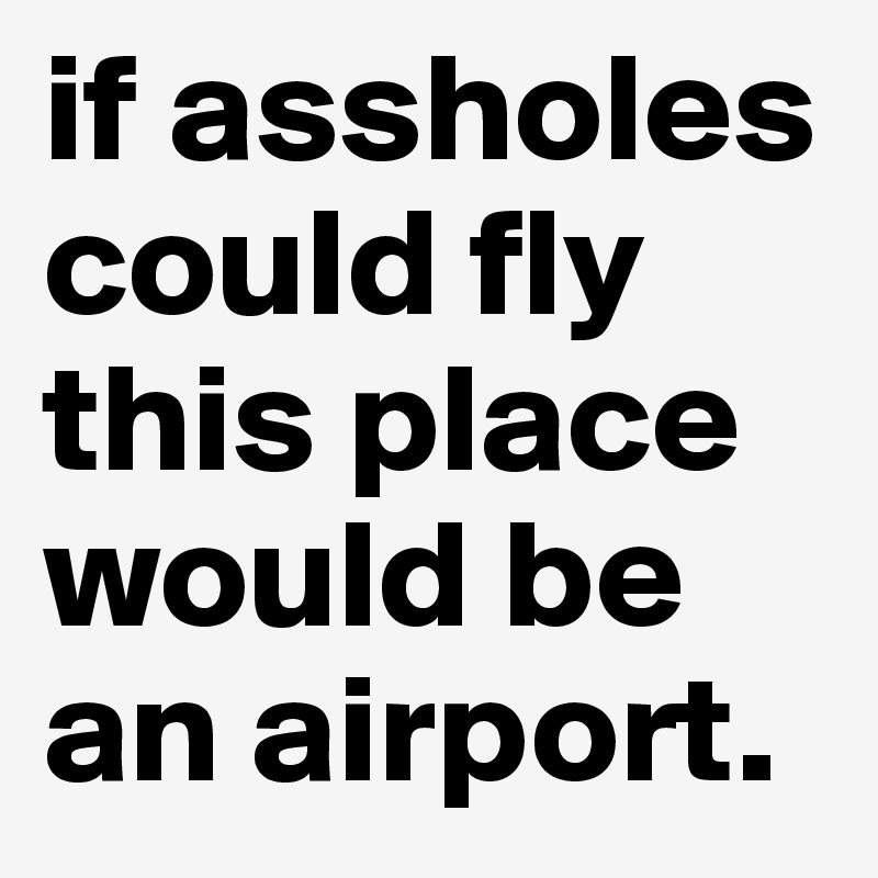 Cartello Metallo Umoristico If Assholes Could Fly This Place Would Be An Airport – Decorazione Da Parete 20x30 Cm Per Garage, Bar, Uomo - 2