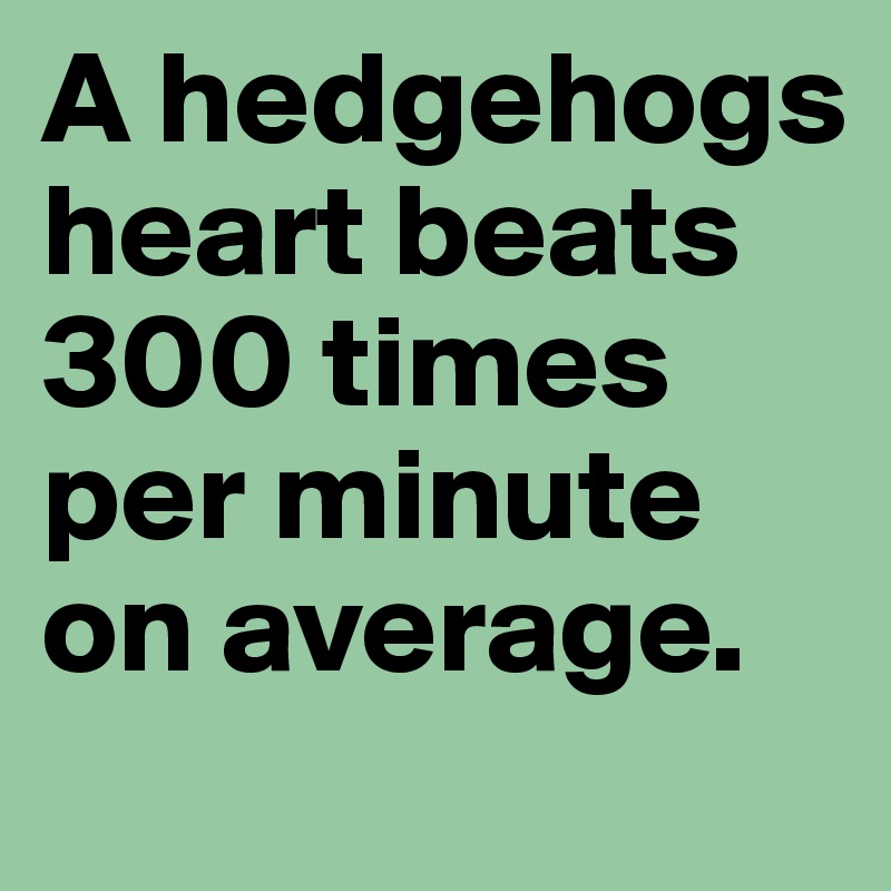 A hedgehogs heart beats 300 times per minute on average.
