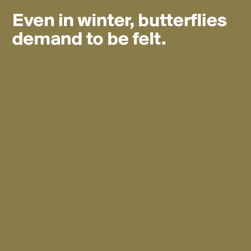 Even in winter, butterflies demand to be felt. 









