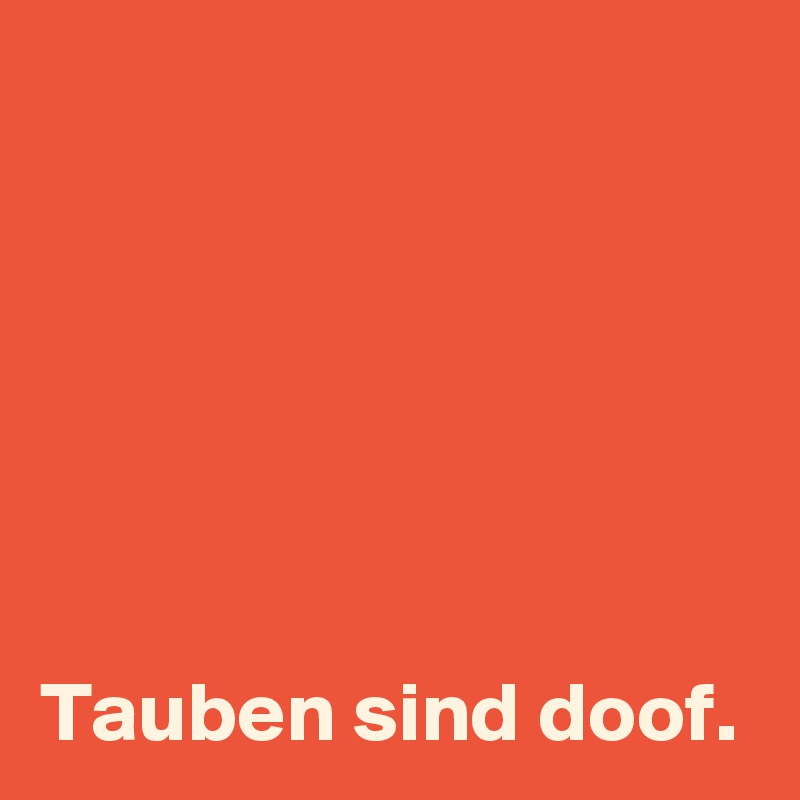 






Tauben sind doof. 