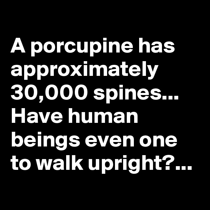 
A porcupine has approximately 30,000 spines...
Have human beings even one to walk upright?...