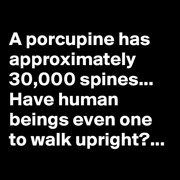 
A porcupine has approximately 30,000 spines...
Have human beings even one to walk upright?...