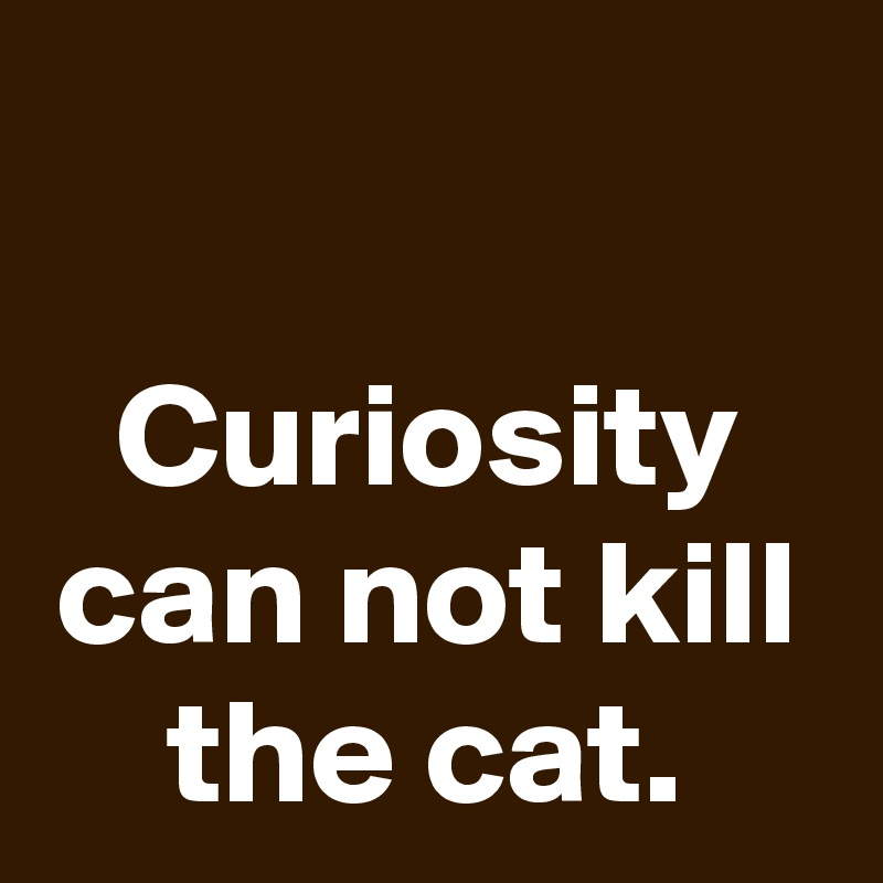 

Curiosity can not kill the cat.