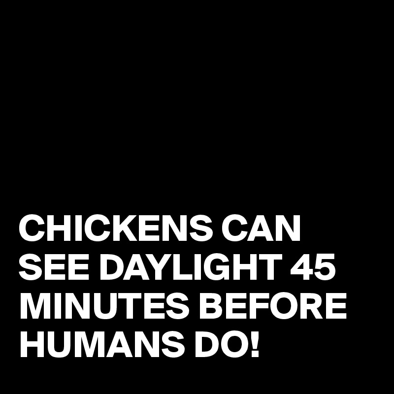 




CHICKENS CAN SEE DAYLIGHT 45 MINUTES BEFORE HUMANS DO!