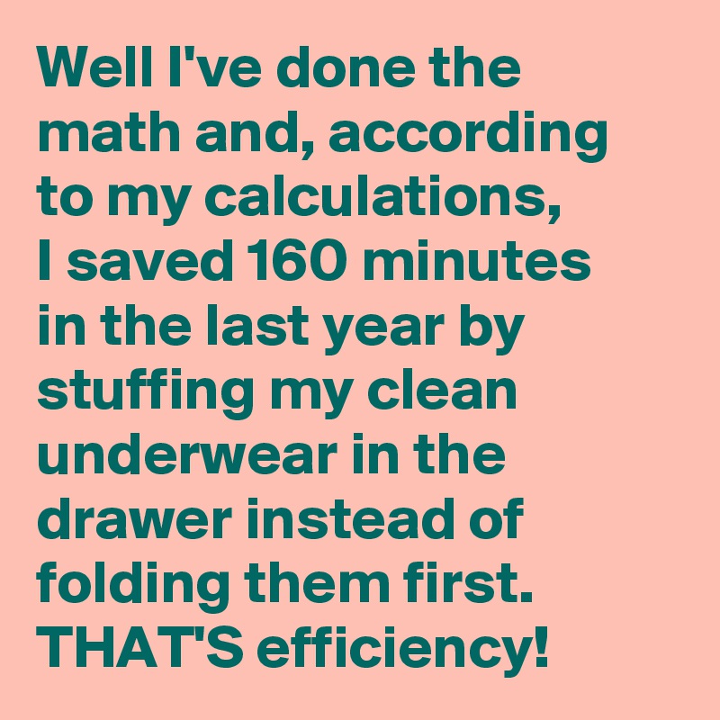 Well I've done the math and, according to my calculations,
I saved 160 minutes
in the last year by stuffing my clean underwear in the drawer instead of folding them first.
THAT'S efficiency!