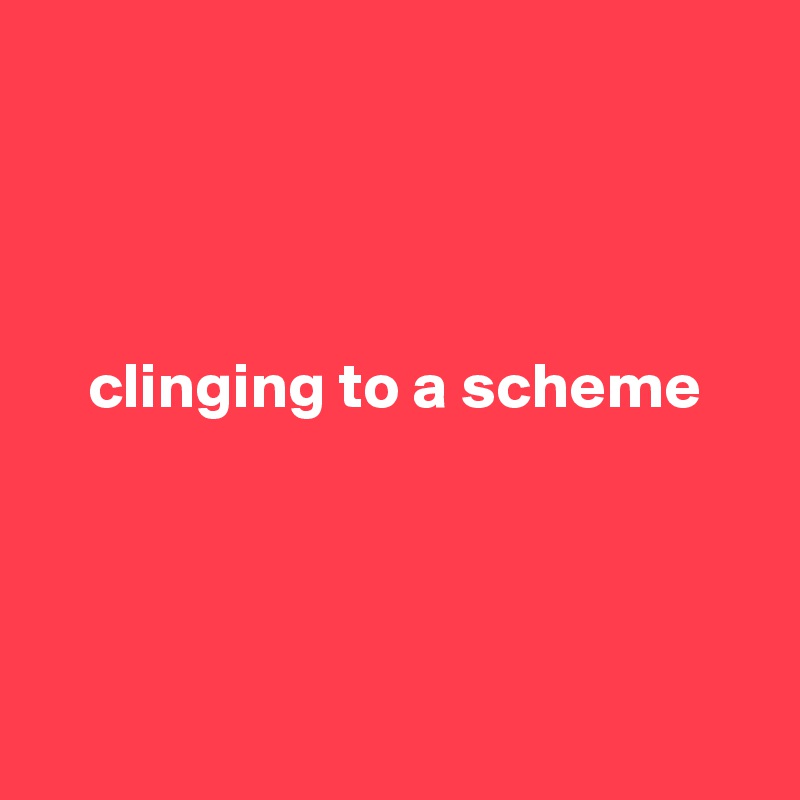 




    clinging to a scheme




