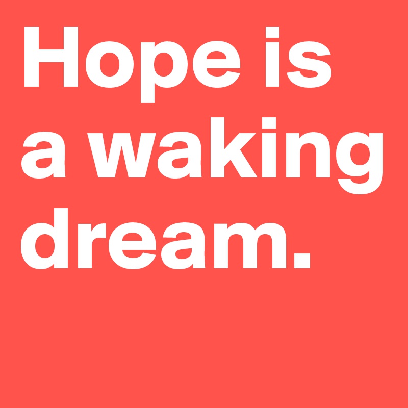 Hope is a waking dream.
