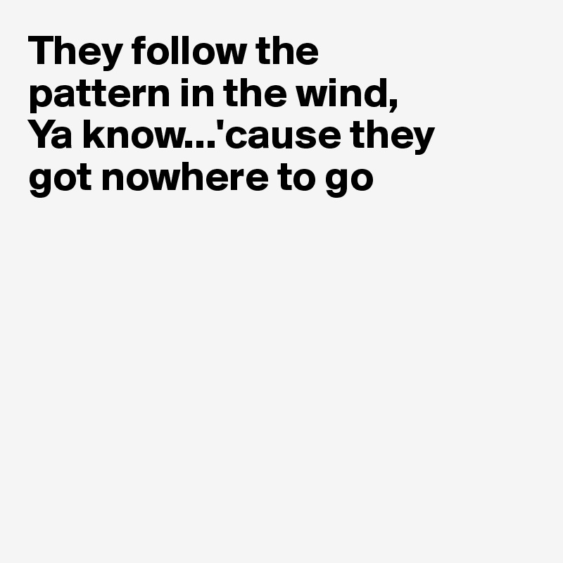 They Follow The Pattern In The Wind Ya Know Cause They Got Nowhere To Go Post By Fionacatherine On Boldomatic