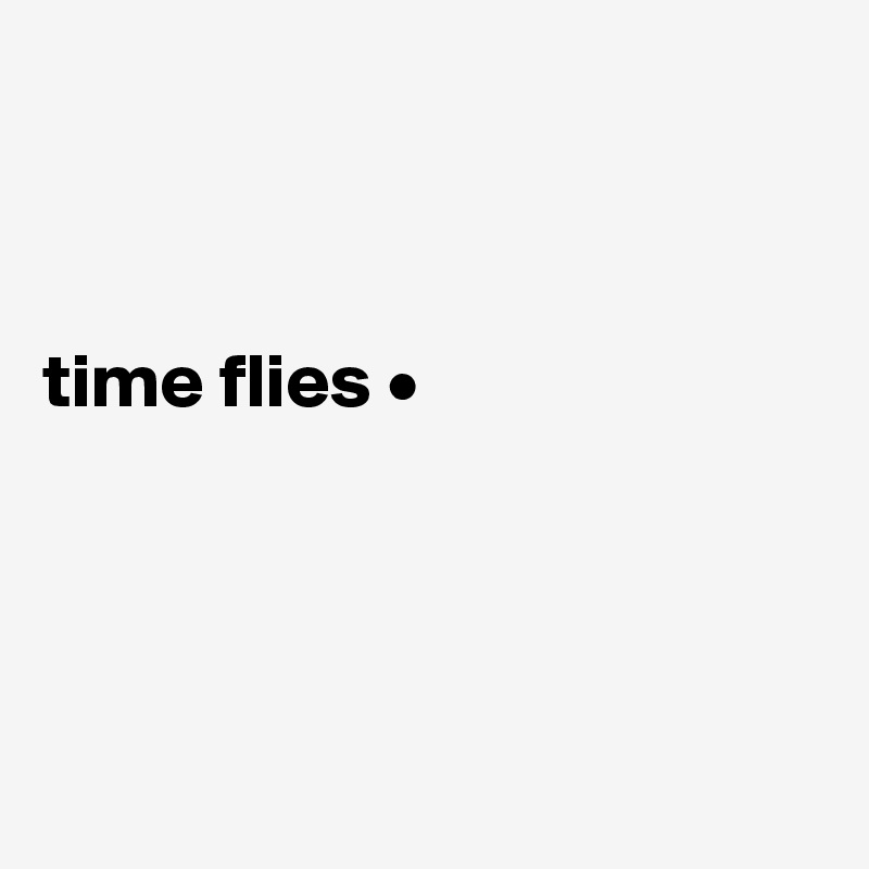 



time flies •




